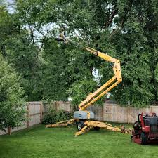 Best Tree Maintenance Programs  in Double Oak, TX