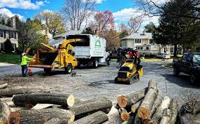Best Lawn Grading and Leveling  in Double Oak, TX