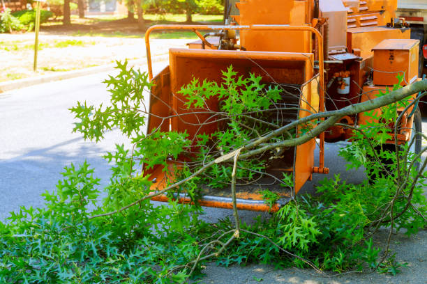 Best Weed Control  in Double Oak, TX