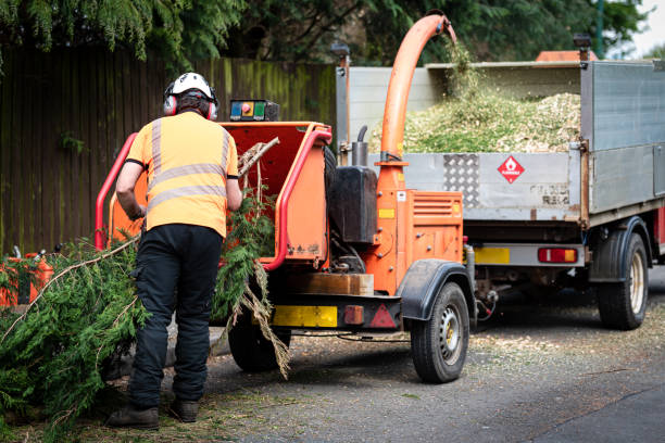 Best Emergency Tree Removal  in Double Oak, TX