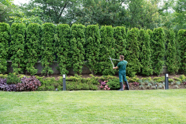 Best Lawn Grading and Leveling  in Double Oak, TX
